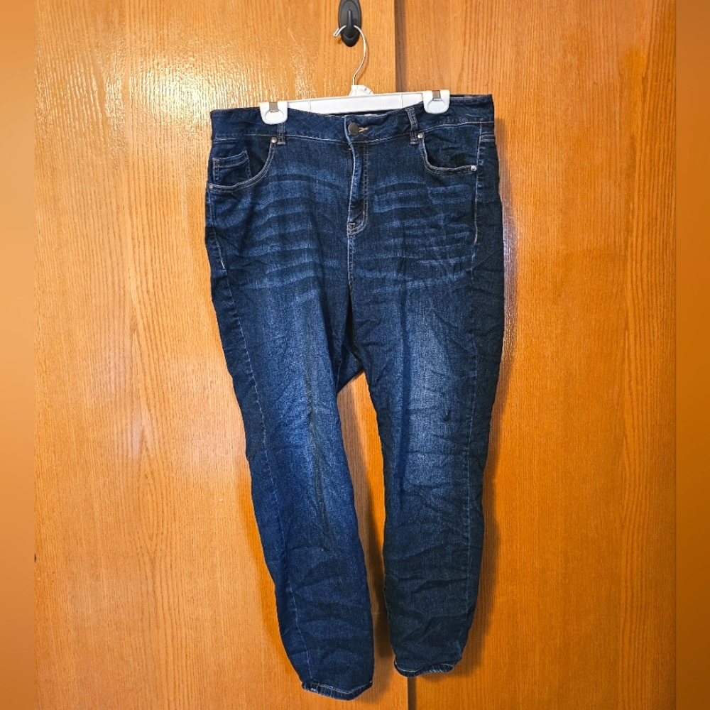 Lane Byrant high rise skinny jeans